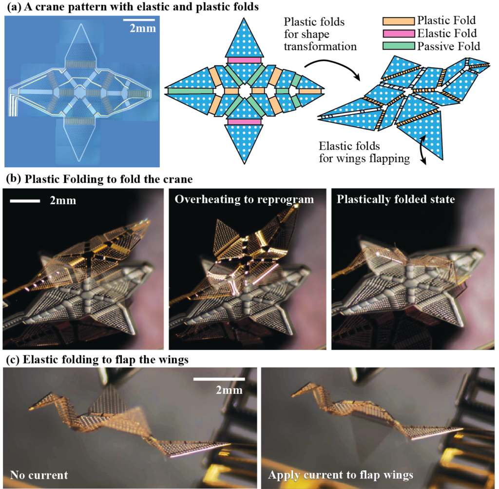 Papers On Micro-Origami Published On Adv. Funct. Mater – Deployable And ...